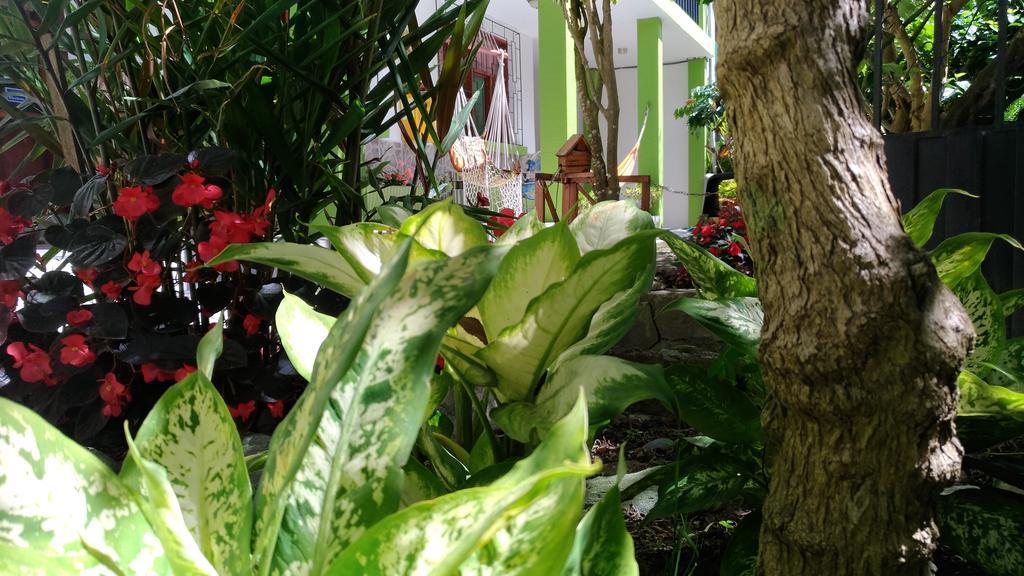 Hostal&Spa Casa Real Banos  Luaran gambar